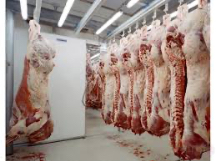  مواد پروتئینی | گوشت لاشه گوساله وگوسفندی