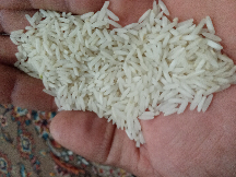  غلات | برنج برنج ارزان قیمت ایرانی
