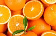  میوه | پرتقال تامسون سردرختی