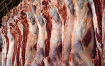  مواد پروتئینی | گوشت گوشت گاوی لاشه کشتار روز
