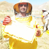  دامپروری | عسل عسل طبیعی با ساکارز دو درصد و ژل رویال