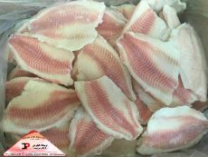  مواد پروتئینی | ماهی ماهی تیلاپیا