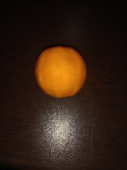  میوه | پرتقال پرتقال تامسون شمال درجه یک