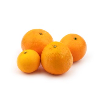  میوه | پرتقال تامسون و خونی