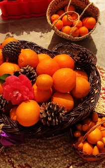  میوه | پرتقال تامسون وپرتقال تو سرخ