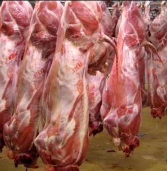  مواد پروتئینی | گوشت گوسفندی بره و بزغاله
