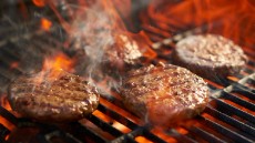  مواد پروتئینی | فرآورده گوشتی همبرگر و کباب لقمه