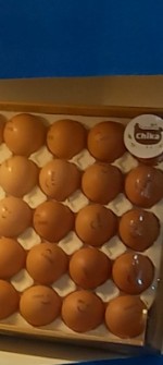  مواد پروتئینی | تخم مرغ تولیدوتوزیع مرغ وتخم مرغ برنده چیکا وچیلای