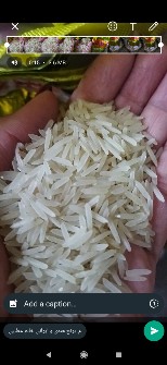  غلات | برنج 1121هندی اصل . حراج محدود