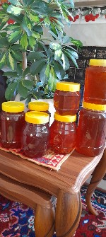  دامپروری | عسل عسل چهل گیاه ،گیاه اصلی گون و آویشن