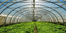  تجهیزات کشاورزی | سایر تجهیزات کشاورزی انواع نایلون های گلخانه ای و کشاورزی