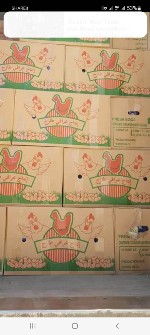  مواد پروتئینی | تخم مرغ تخم مرغ با مجوز صادرات 24 تا 25 کیلیویی کارتن دوبل
