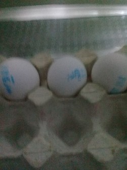  مواد پروتئینی | تخم مرغ تخم مرغ تک زده سفیدلوکس