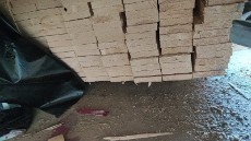  مصالح ساختمانی | چوب چوب روسی یولکا و ساسنا