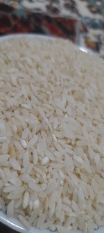 غلات | برنج برنج چمپا میلاس