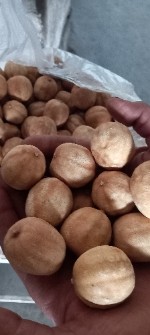  خشکبار | میوه خشک لیمو خشک عمانی صاراتی درجه یک و درشت