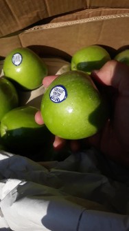  میوه | سیب سیب سبز وارداتی فرانسوی و انبه یمنی