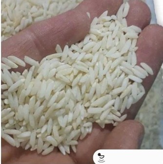  غلات | برنج برنج علی کاظمی،صدری،هاشمی