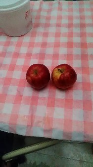  میوه | سیب سیب قرمزدرجه2