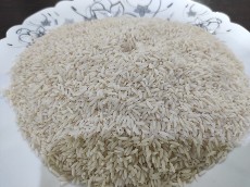  غلات | برنج برنج هاشمی صدری