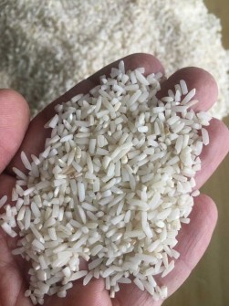  غلات | برنج لاشه هاشمی