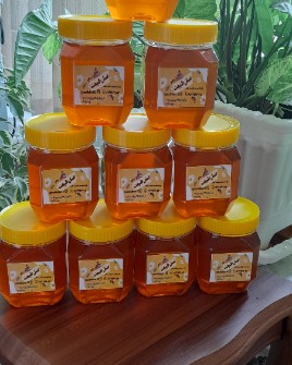  دامپروری | عسل عسل درمانی