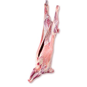  مواد پروتئینی | گوشت لاشه گوسفندی میش