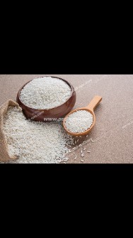  غلات | برنج صدری