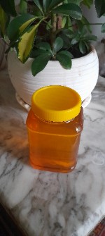  دامپروری | عسل عسل گون طبیعی