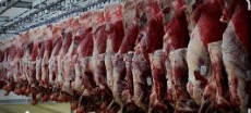  مواد پروتئینی | گوشت گوشت گوسفند و بره و گاو