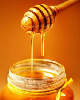  دامپروری | عسل درجه یک .ارگانیک .دیابتی