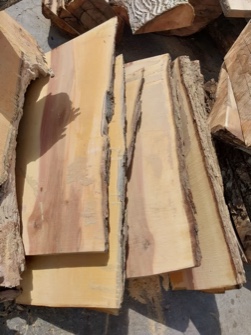  مصالح ساختمانی | چوب ایرانی
