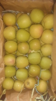  میوه | سیب زرد لبنان