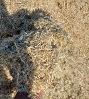  دامپروری | کاه کاه گندم نرم شده کاهکوب شده سرزمین