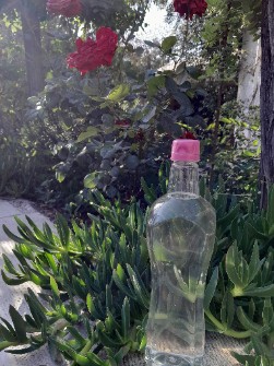  نوشیدنی | گلاب گلاب سنتی اعلا بدون اسانس