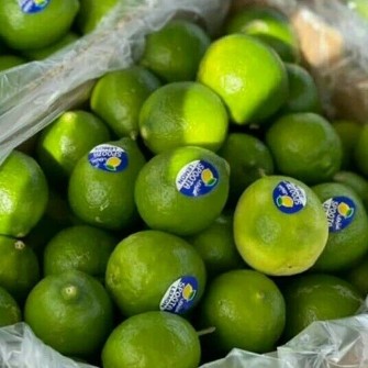  میوه | لیمو ترش لیموترش رودان و لیمو سنگی