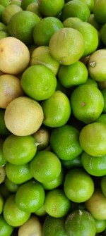  میوه | لیمو ترش لیمو ترش محلی