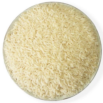  غلات | برنج شیرودی پرمحصول