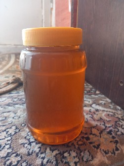  دامپروری | عسل عسل اسطاقدوس وگون بینالود