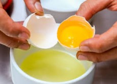  مواد پروتئینی | تخم مرغ سفیده خام تخم مرغ