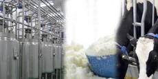 لبنیات | شیر شیر خشک صنعتی اسکیم