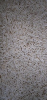  غلات | برنج زرد دم آستانه