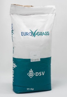  بذر و نهال | بذر بذر چمن فستوکا یوروگراس