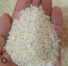  غلات | برنج دم سیاه