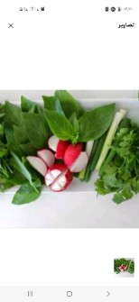  کنسانتره و کنسرو | ترشی انواع سبزیجات وترشیجات و میوه جات