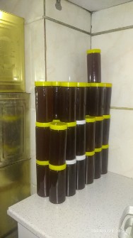  دامپروری | عسل گشنیز عطری ارگانیک