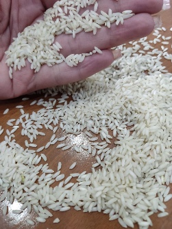  غلات | برنج طارم هاشمی سورت شده
