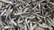  مواد پروتئینی | ماهی ماهی خشک