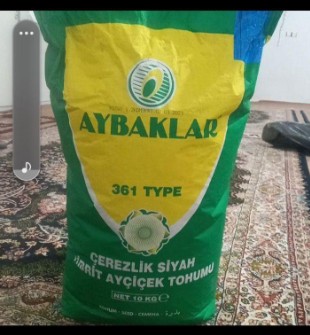  بذر و نهال | بذر بذر اصلاح شده افتابگردان وارداتی از ترکیه اس400