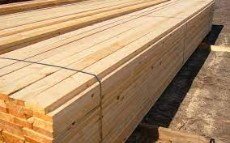  مصالح ساختمانی | چوب چوب روسی